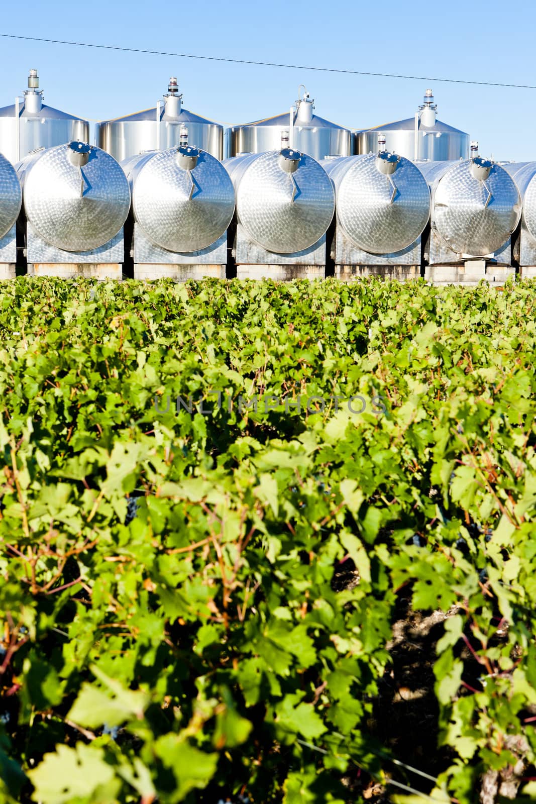 fermentation tanks, Begadan, Bordeaux Region, France by phbcz