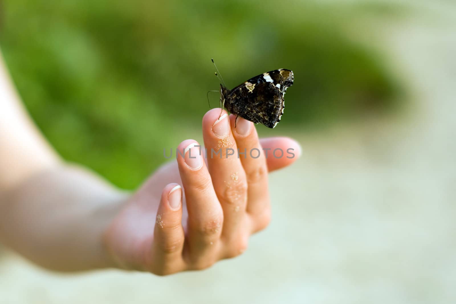 Picture about nature and mankind, ecology and savings, trust and freedom.