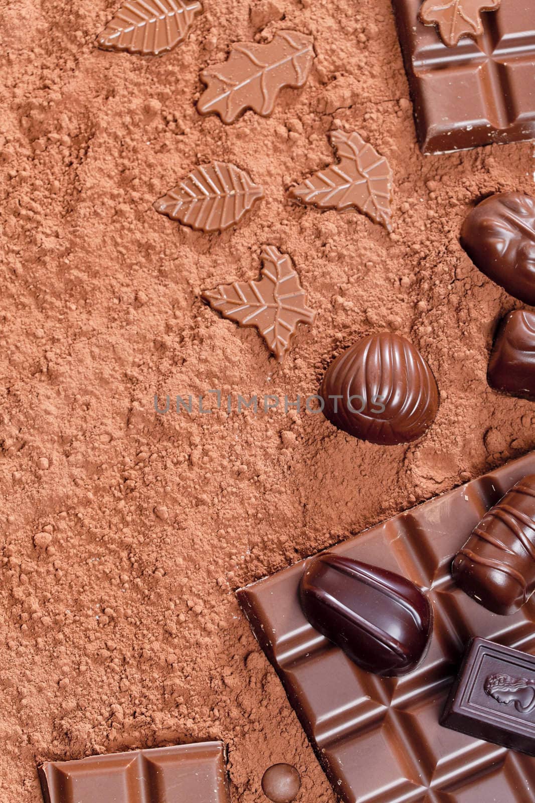 still life of chocolate in cocoa