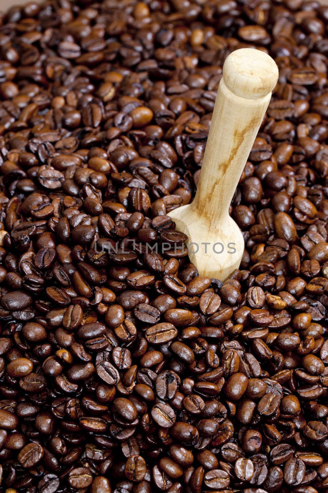 still life of coffee beans