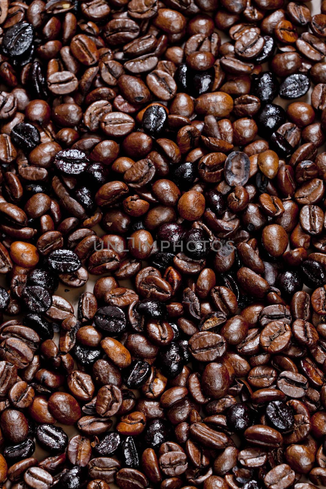 still life of coffee beans