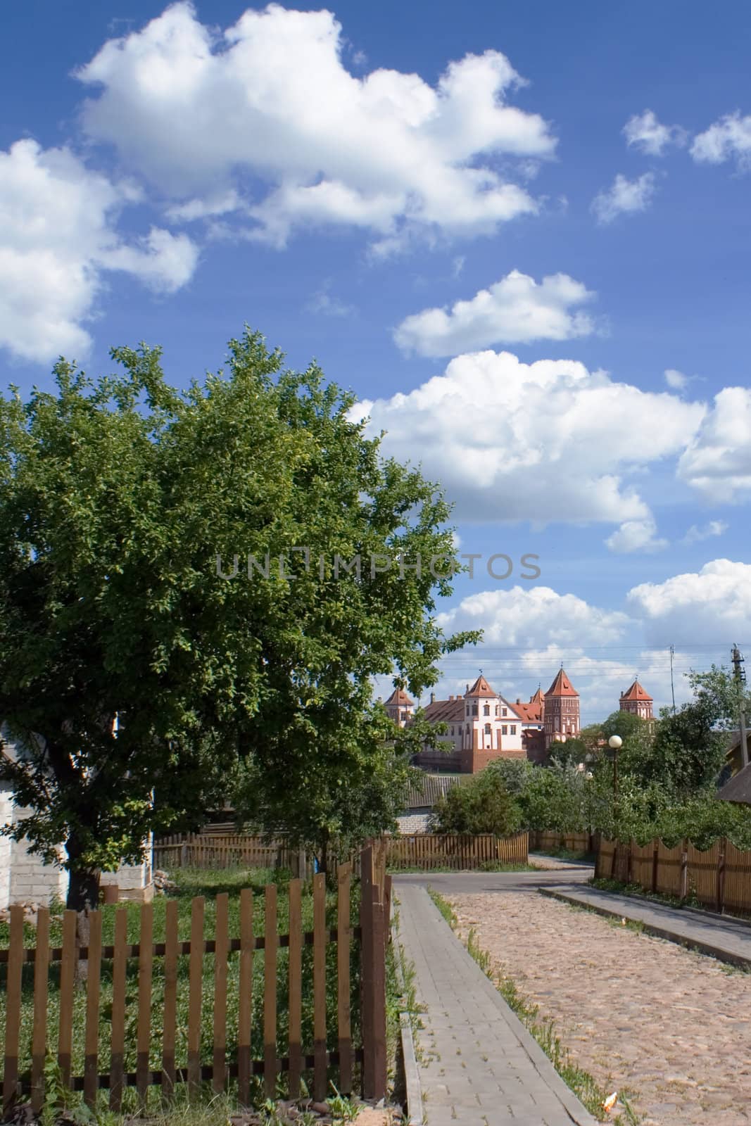 View to Castle from Mir village, Belarus
