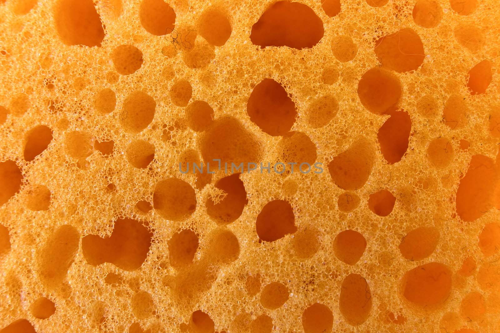 Yellow sponge texture