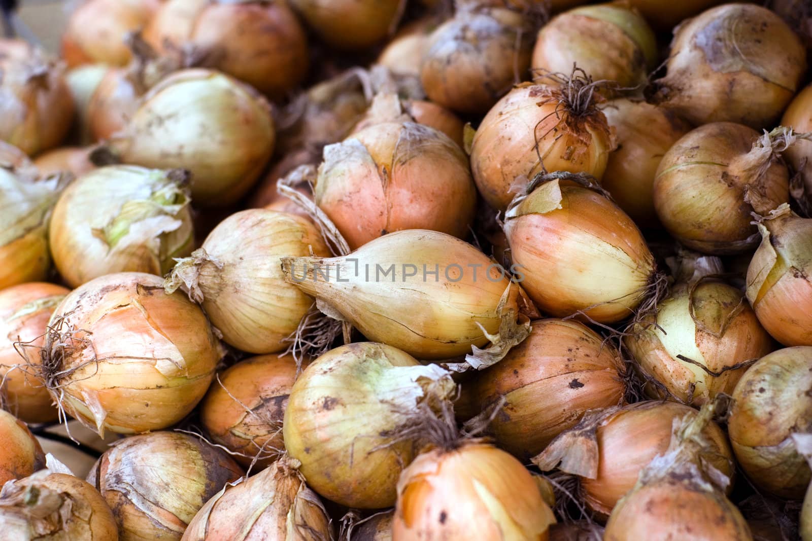 Heap of Onions