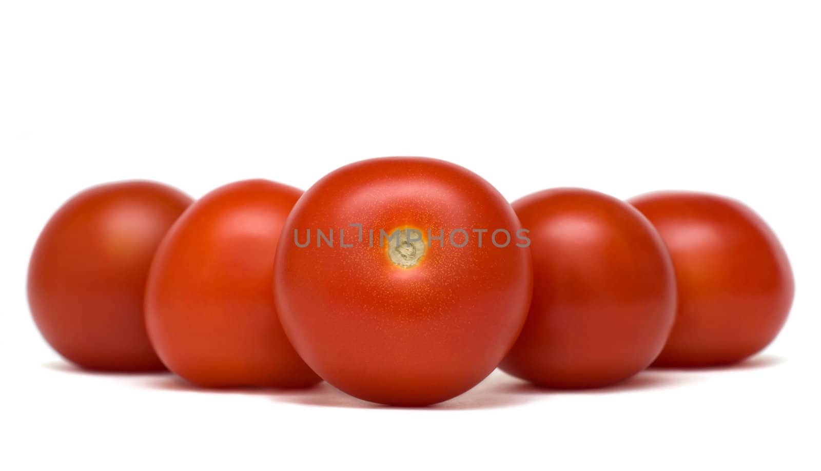 Red tomatoes standing in a row