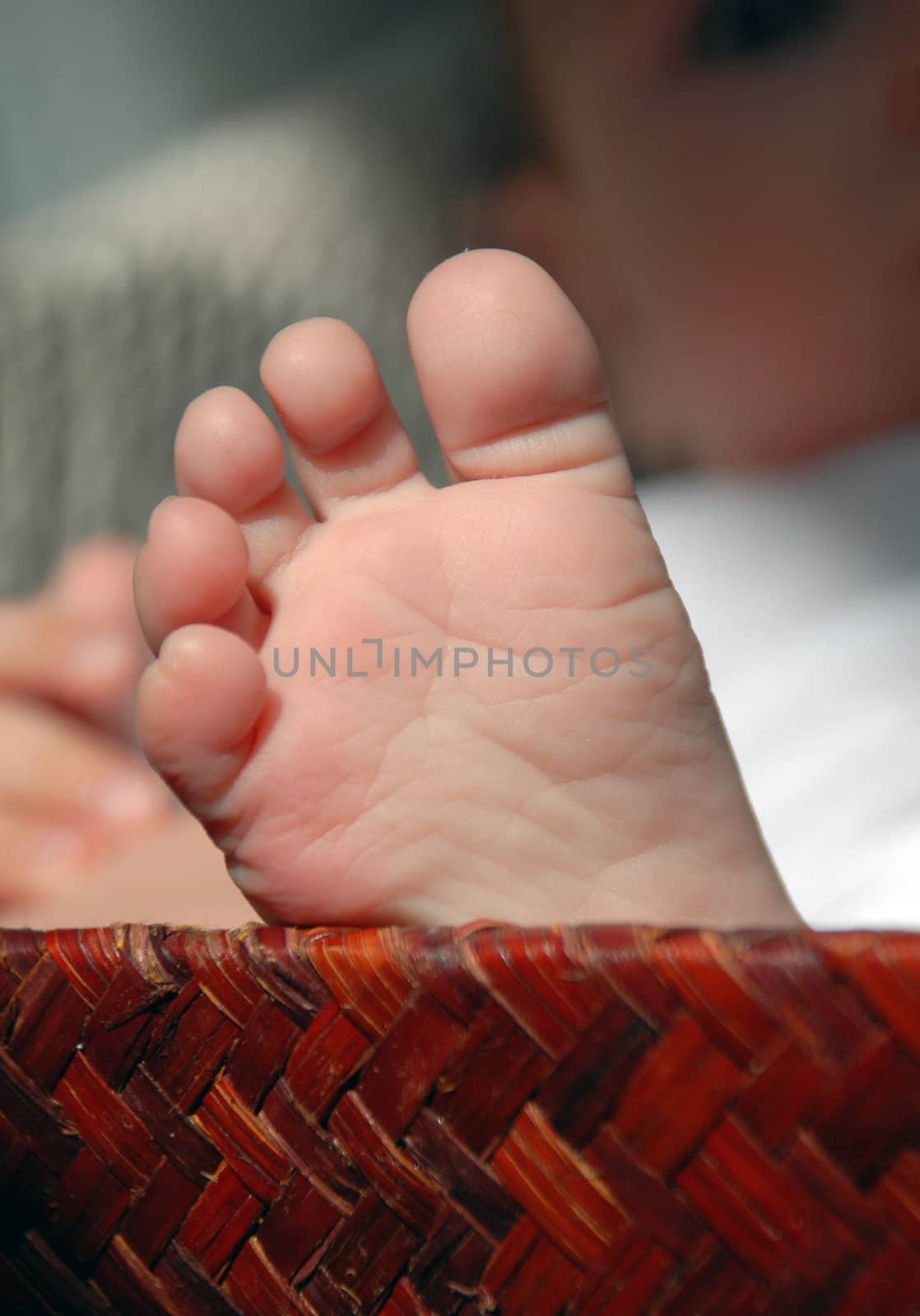 Foot baby looking out from basket