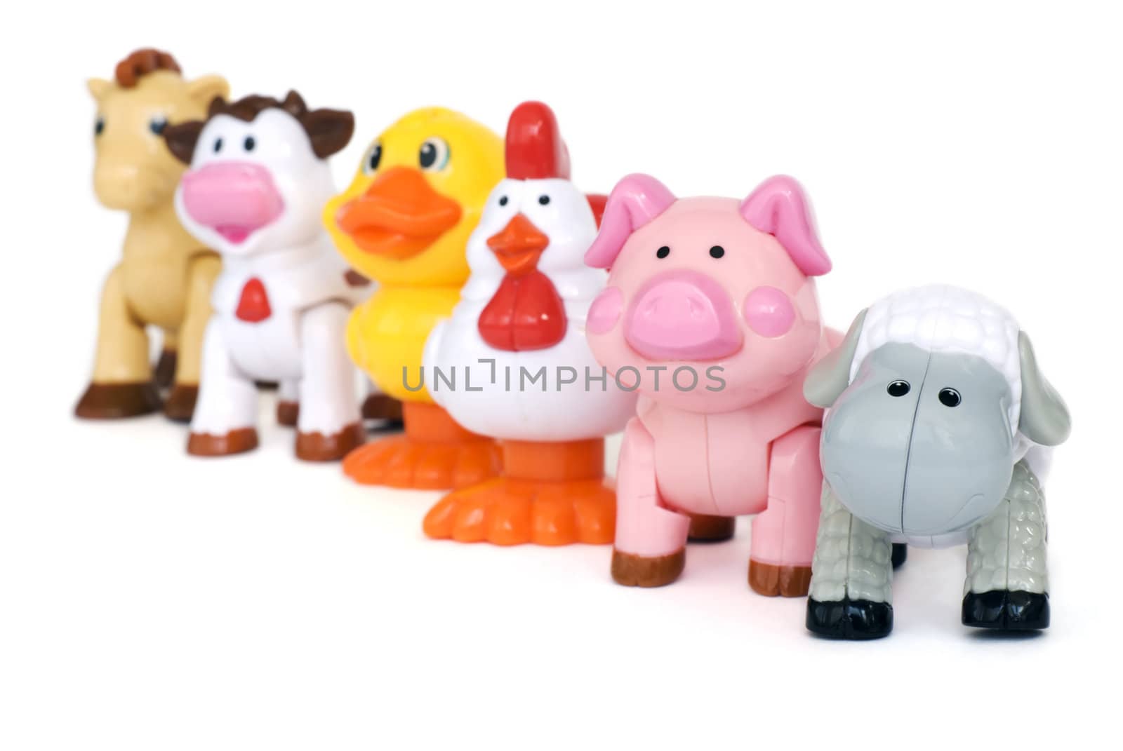 Color animal toys standing in a row