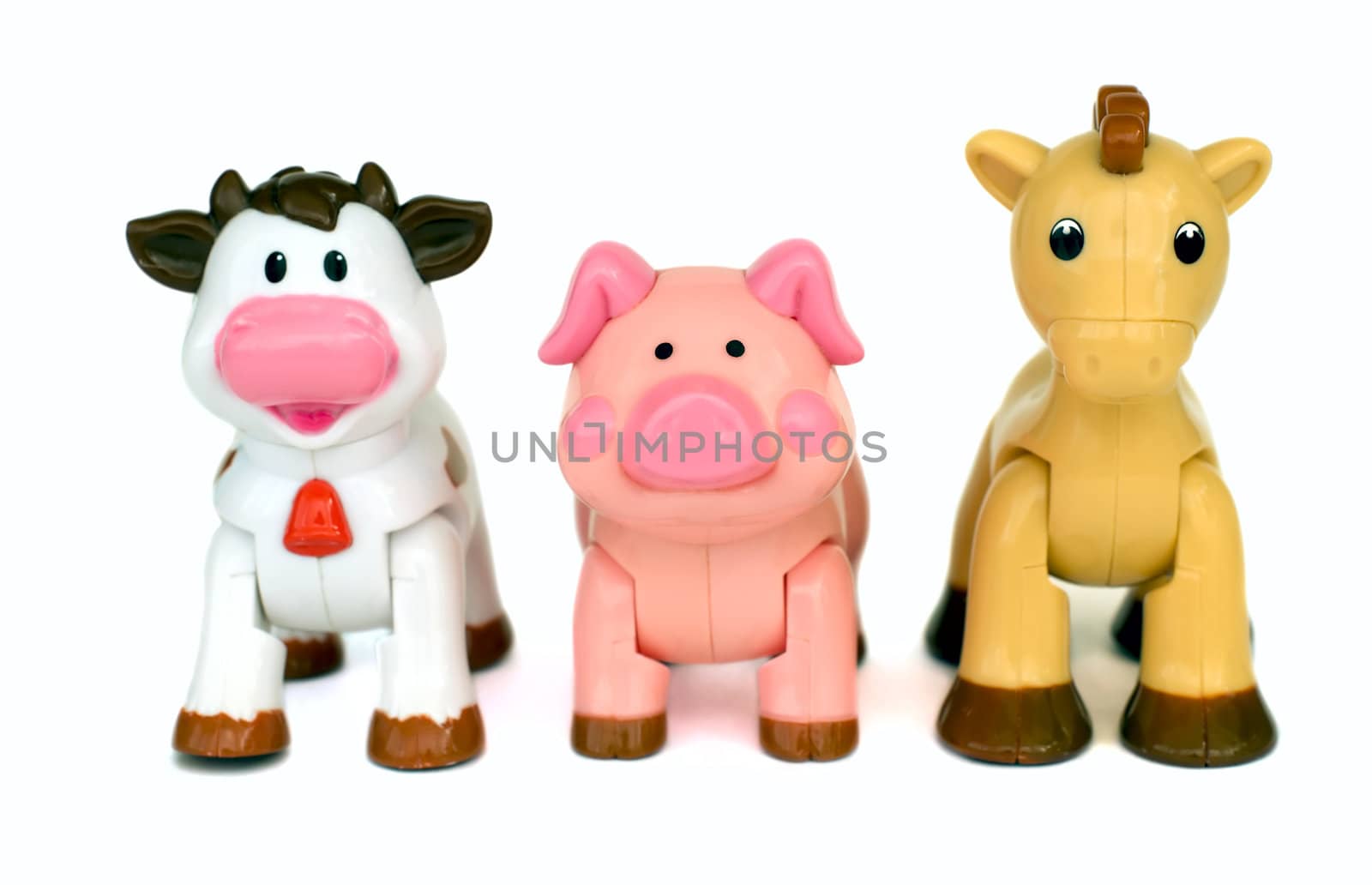 Color animal toys standing in a row