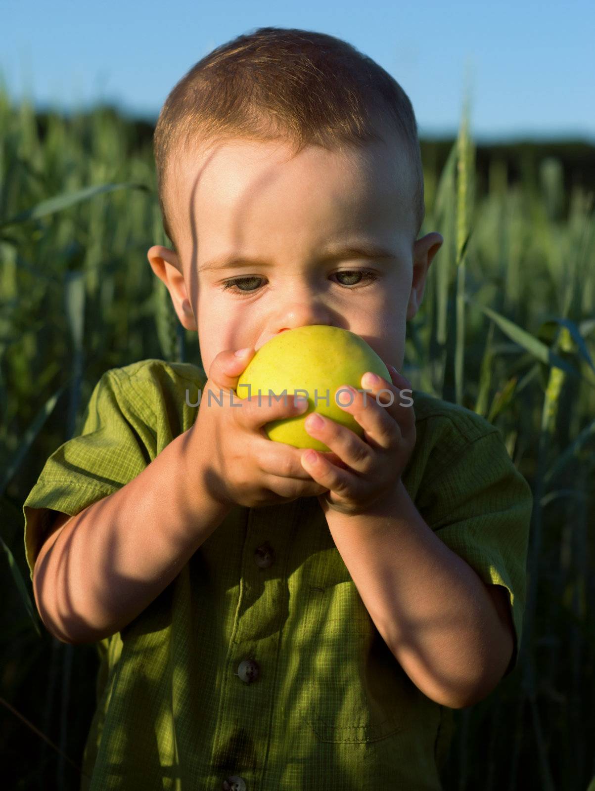 Portrait of little boy biting green apple
