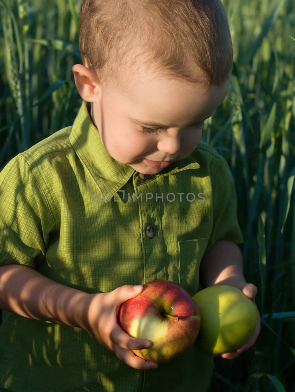 Portrait of little boy with apples