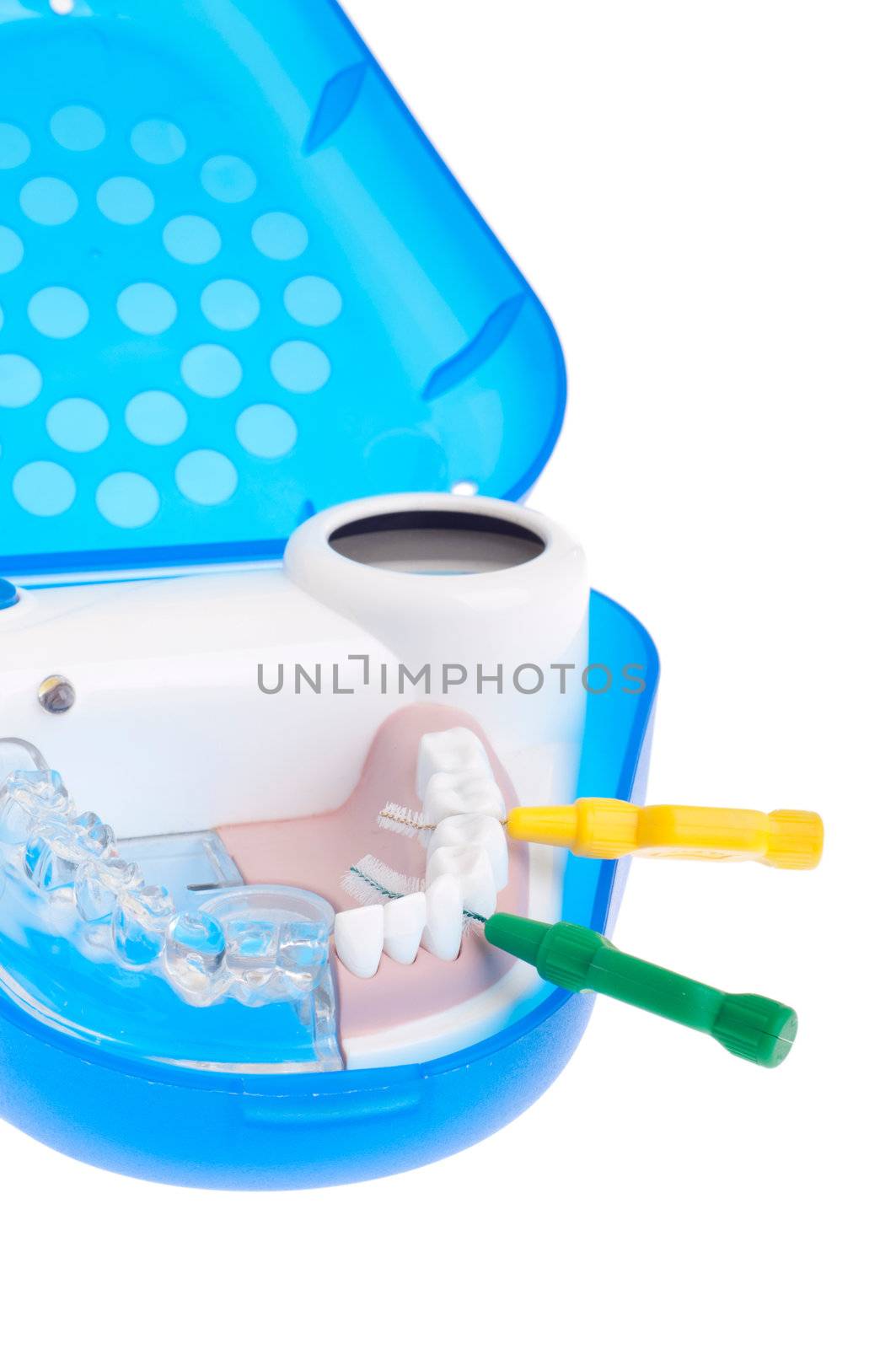 portable dental model showing how to use intra proximal brushes (isolated on white background)