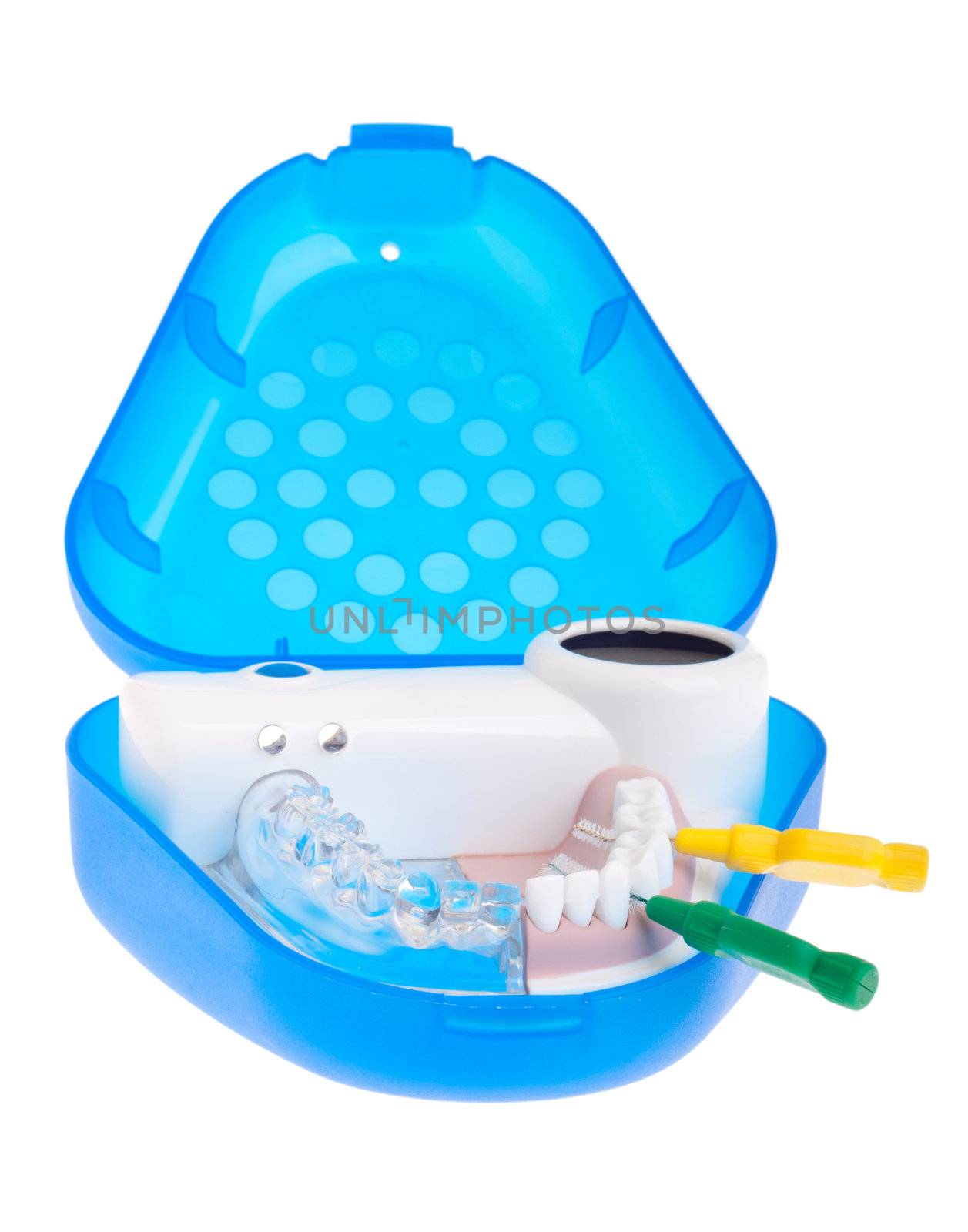 portable dental model showing how to use intra proximal brushes (isolated on white background)