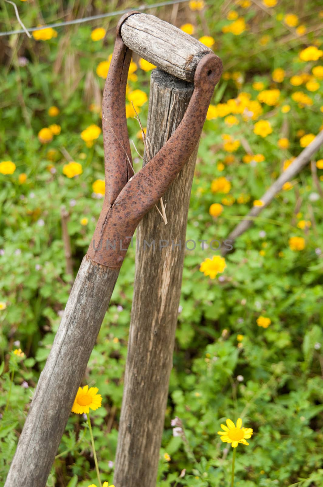 Rusty shovel by luissantos84