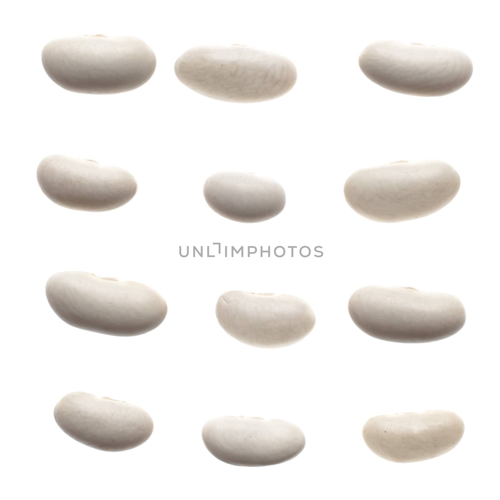 Set of white beans isolated on white background.