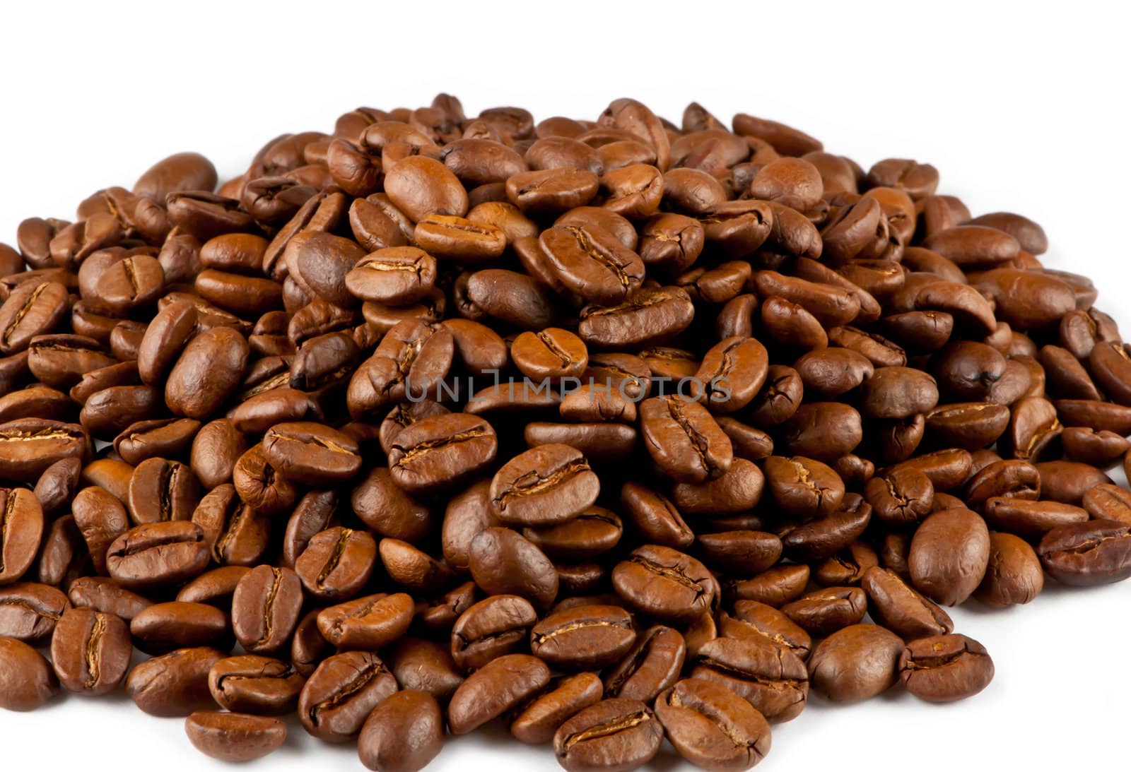 coffee beans by rook