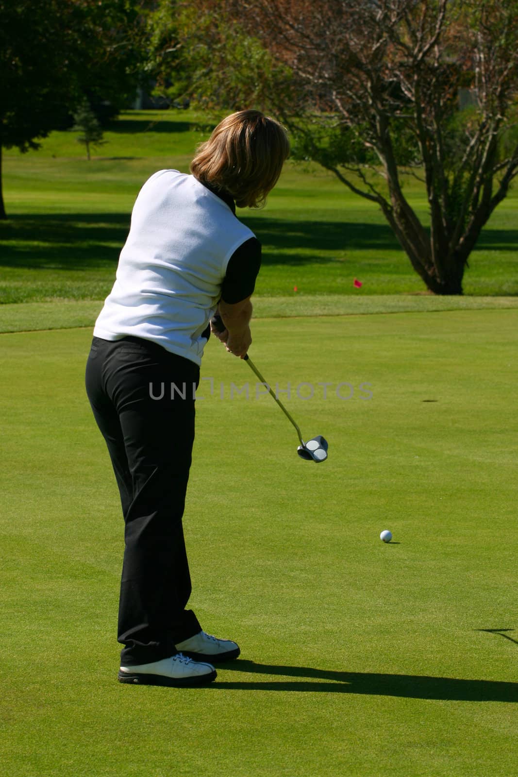 Adult female golfer putting on the green