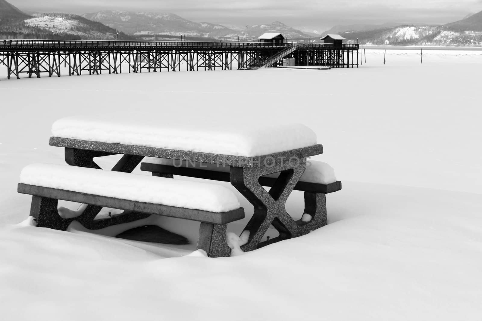 Snow covered picnic bench at Salmon Arm Pier, BC, CANADA