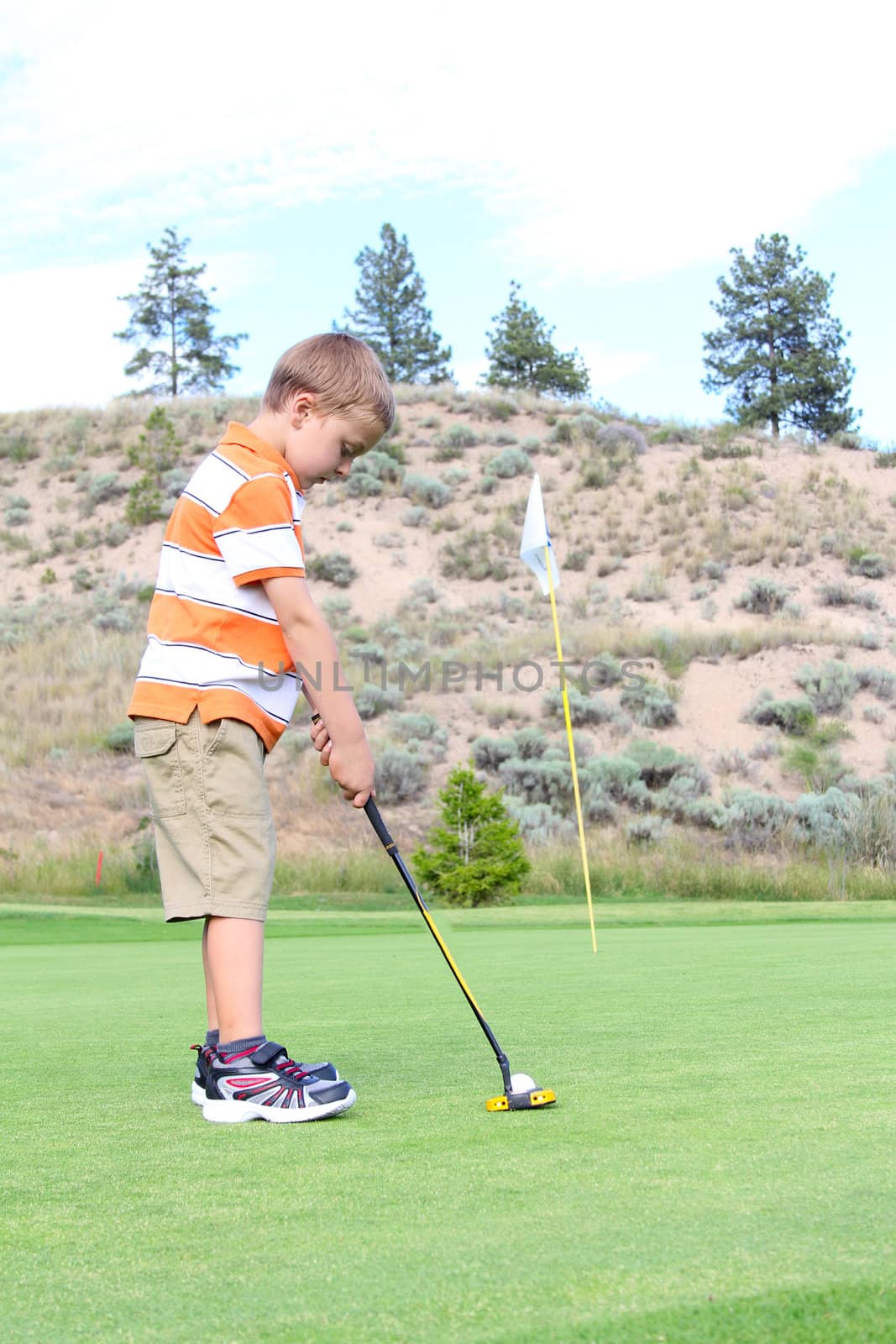 Young golfer putting his ball on the green