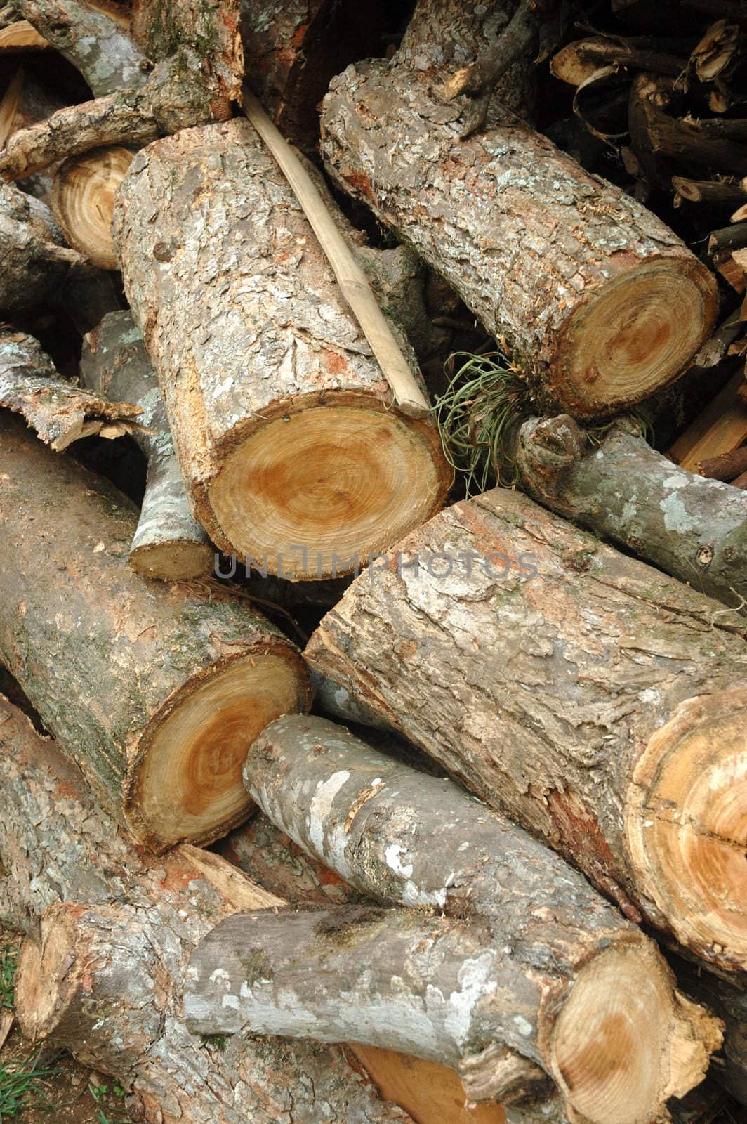 abstract shot of stack of log wood