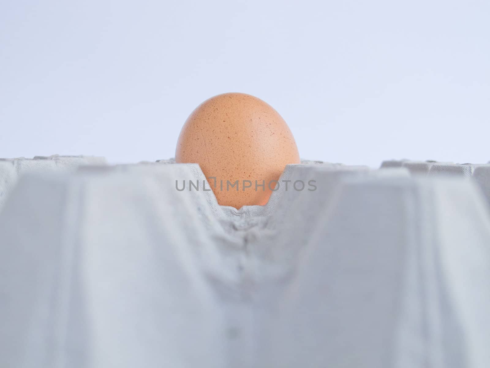 egg by dul_ny