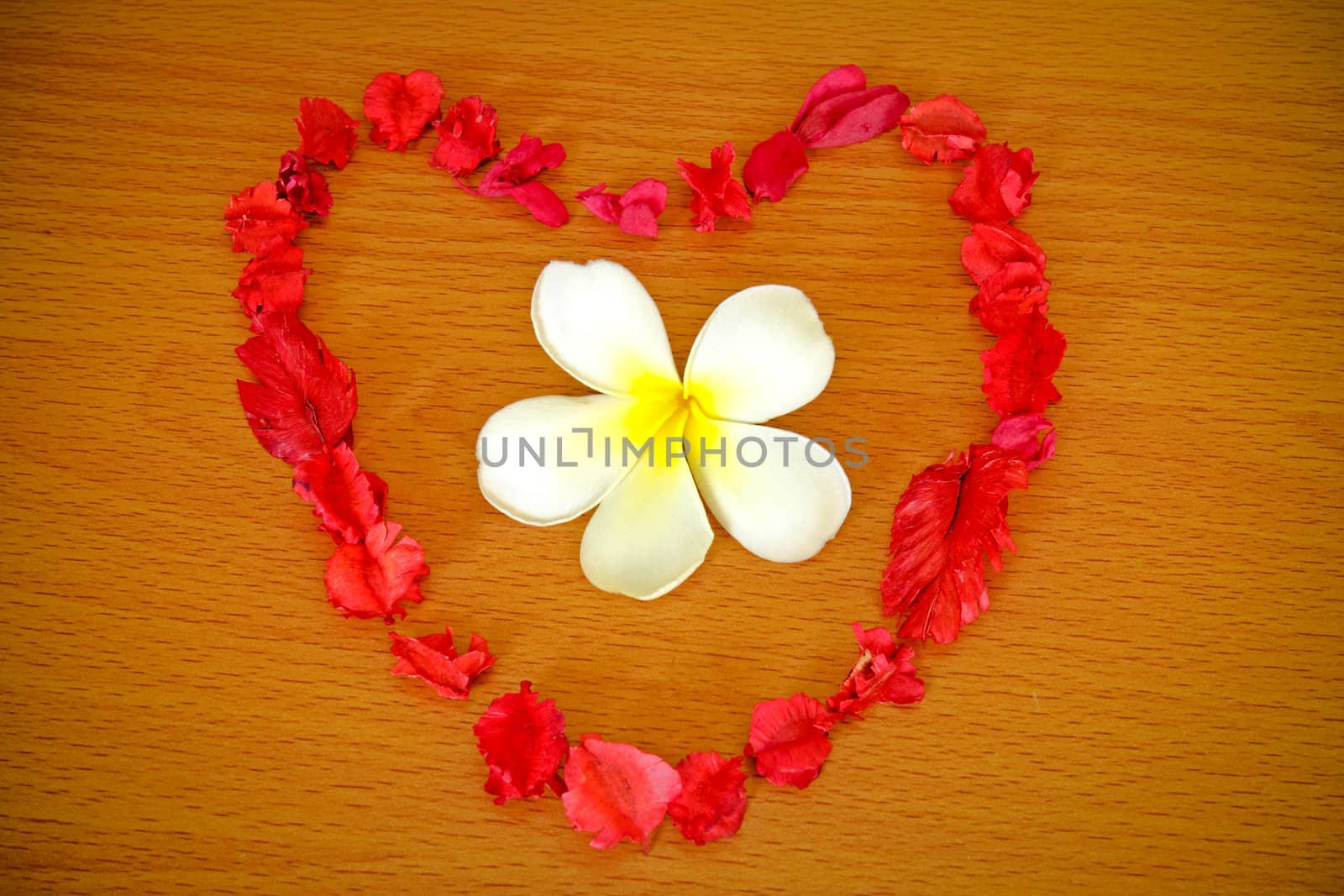 Dry flower heart with frangipani on wood background