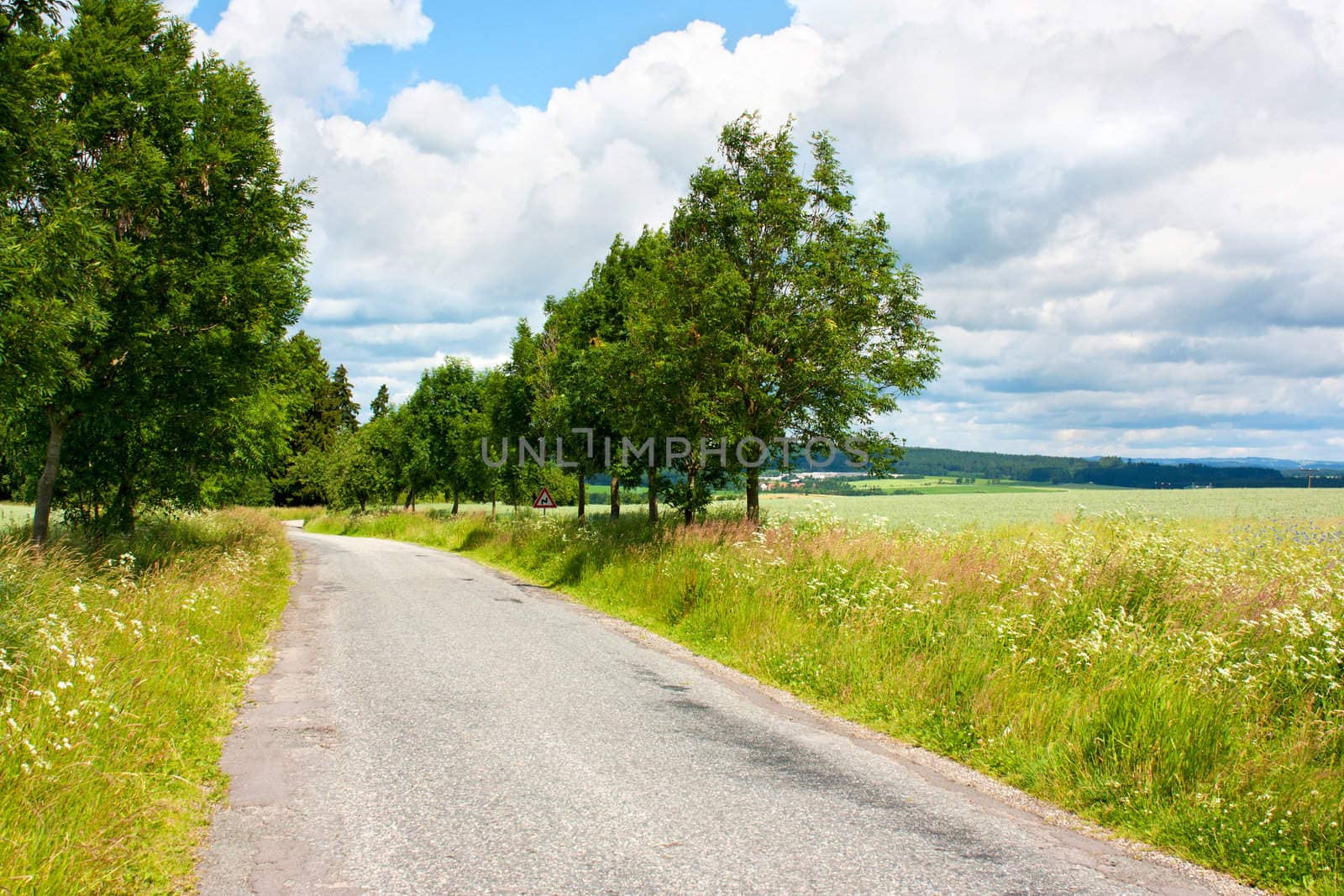Countryside landscape with little road, trees and fields