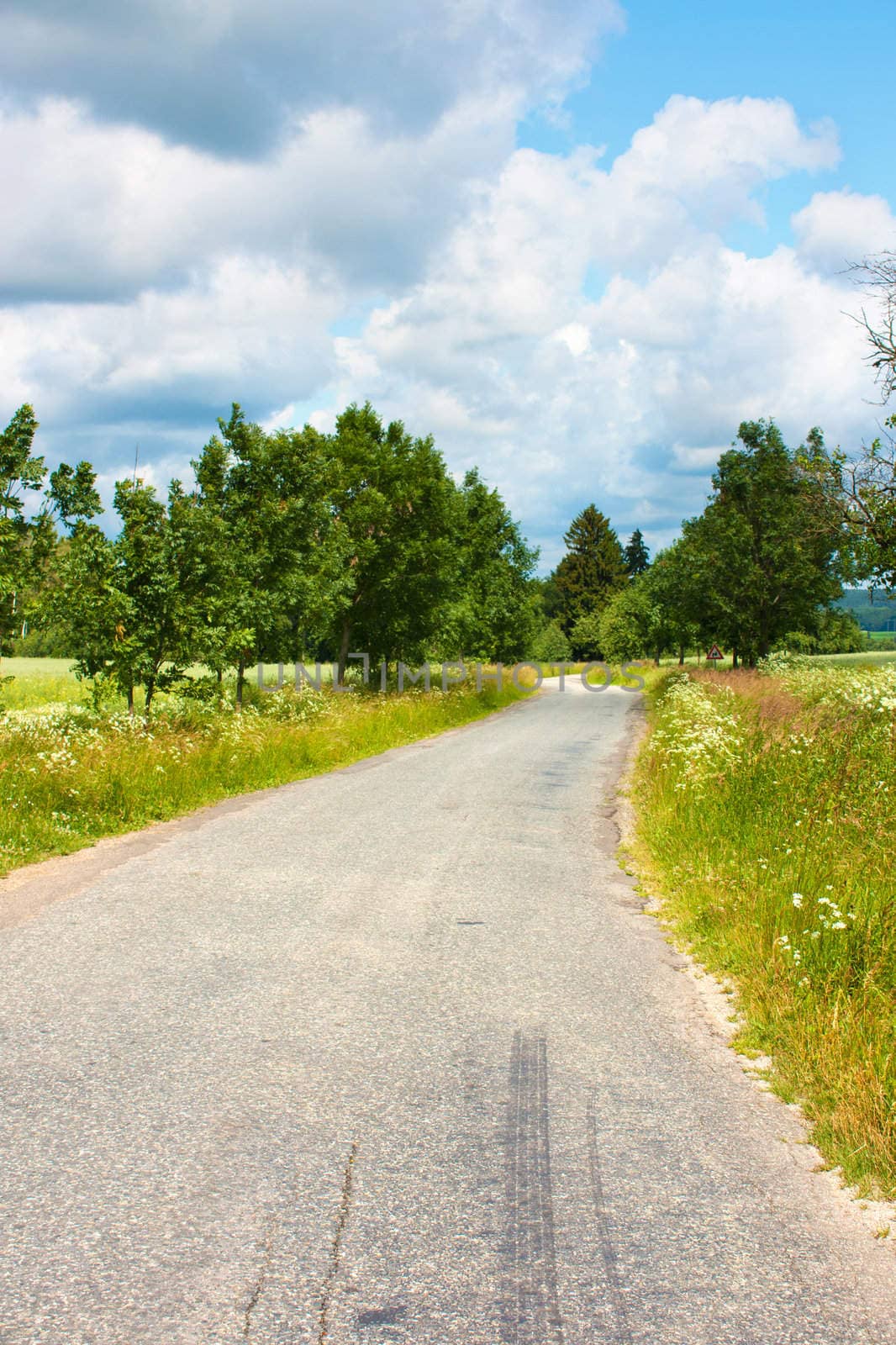 Countryside landscape with little road, trees and fields