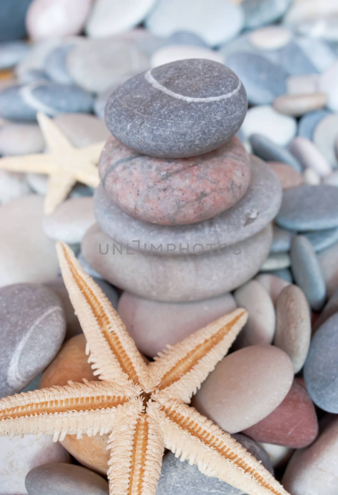 Starfish and seashelle on pebbles