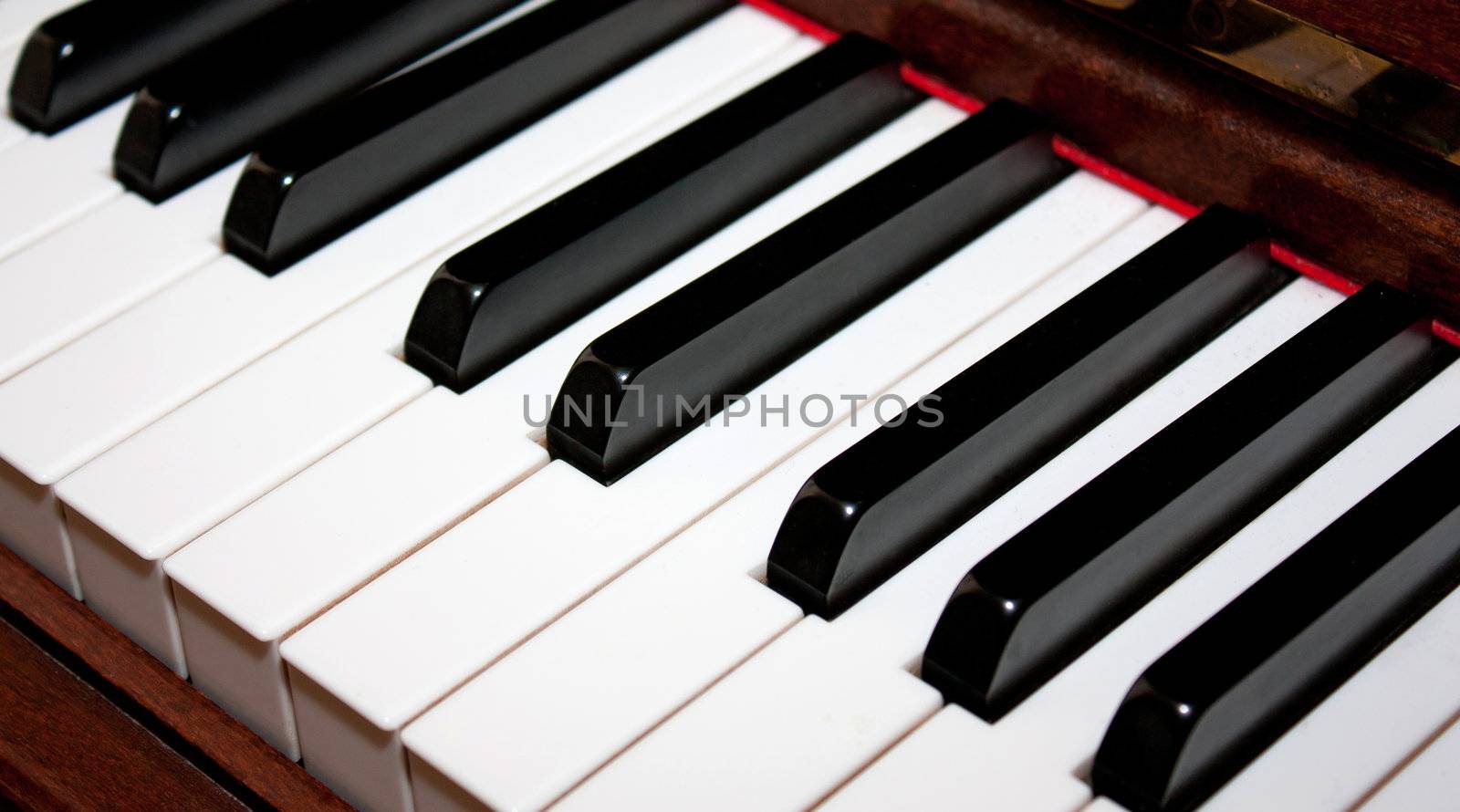 Close-up view of piano key for musical illustration