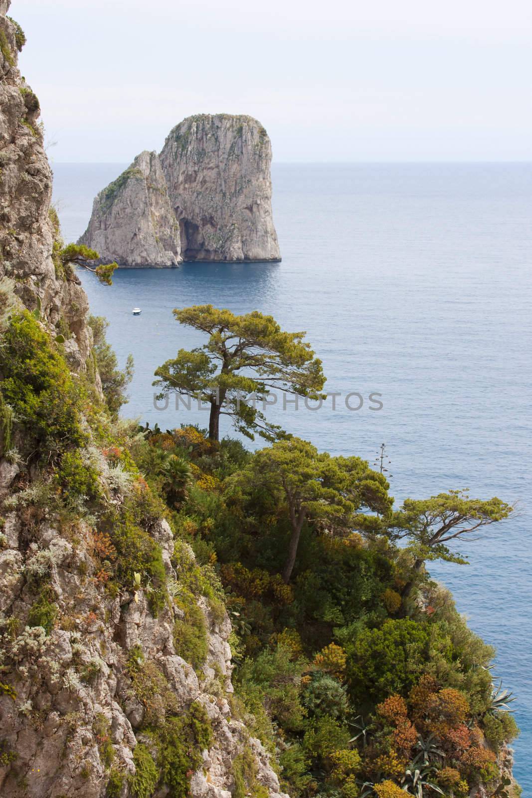 Coast of Capri Island, view of sea and sea-cliff