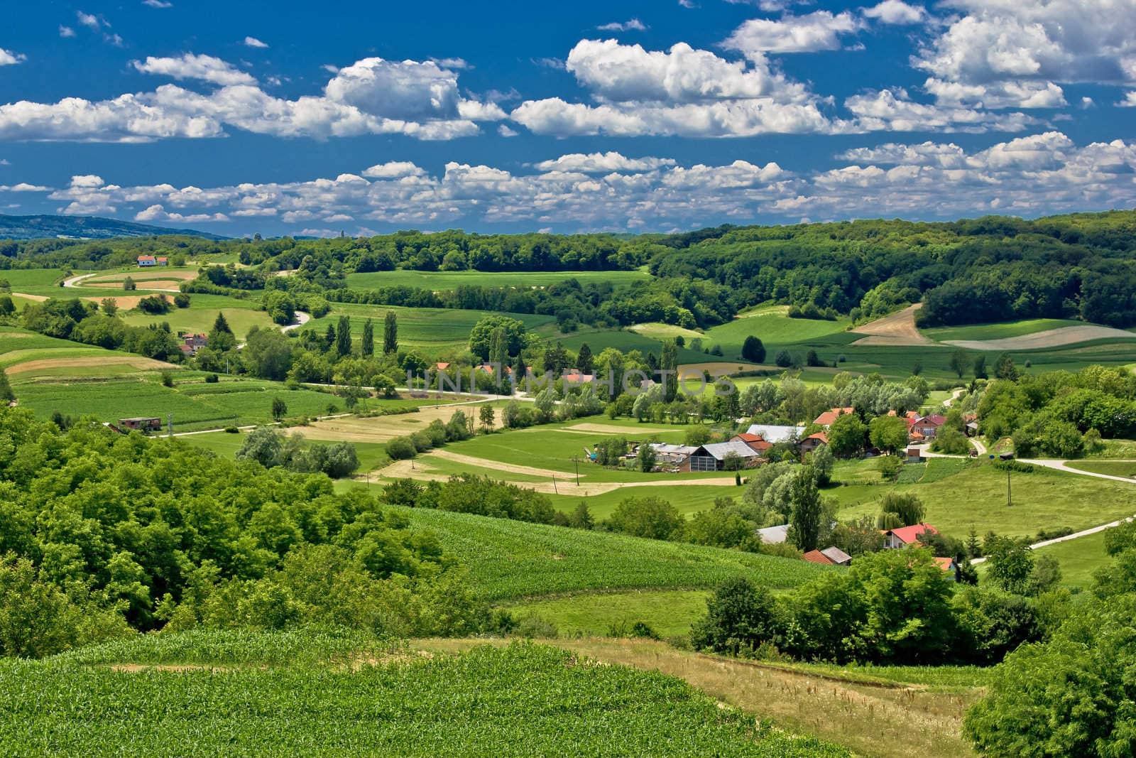 Beautiful green scenery landscape in spring time, village of Zaistovec, Croatia