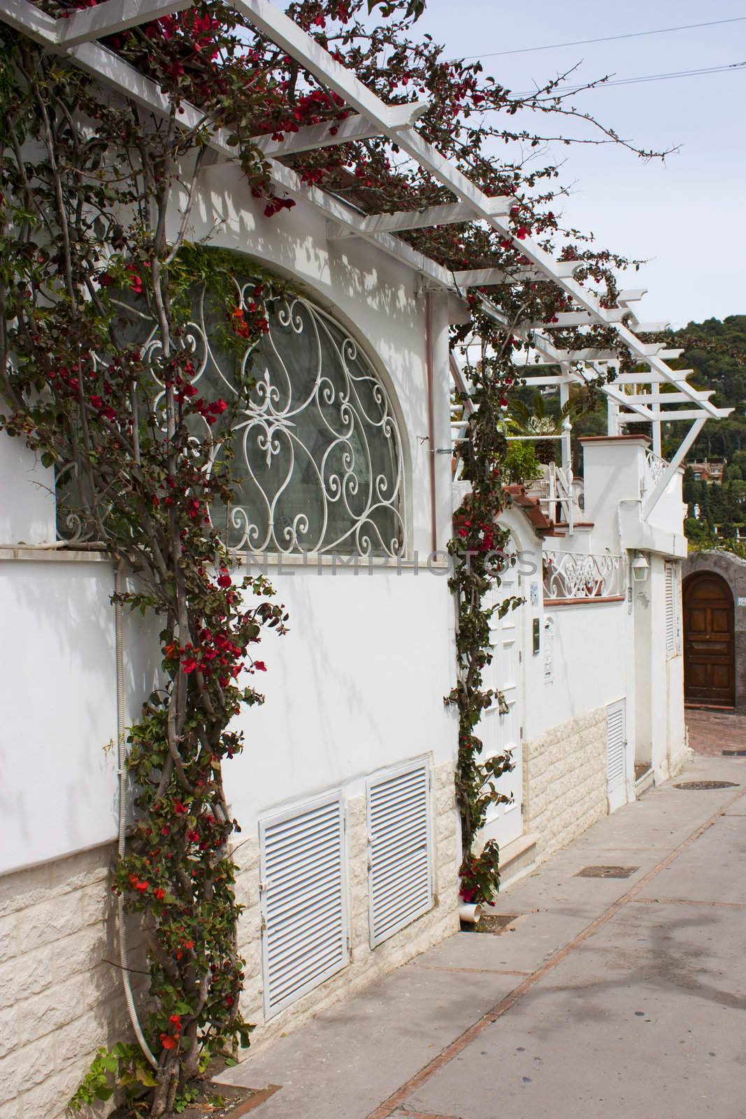 Nice facade of white house in Capri Island