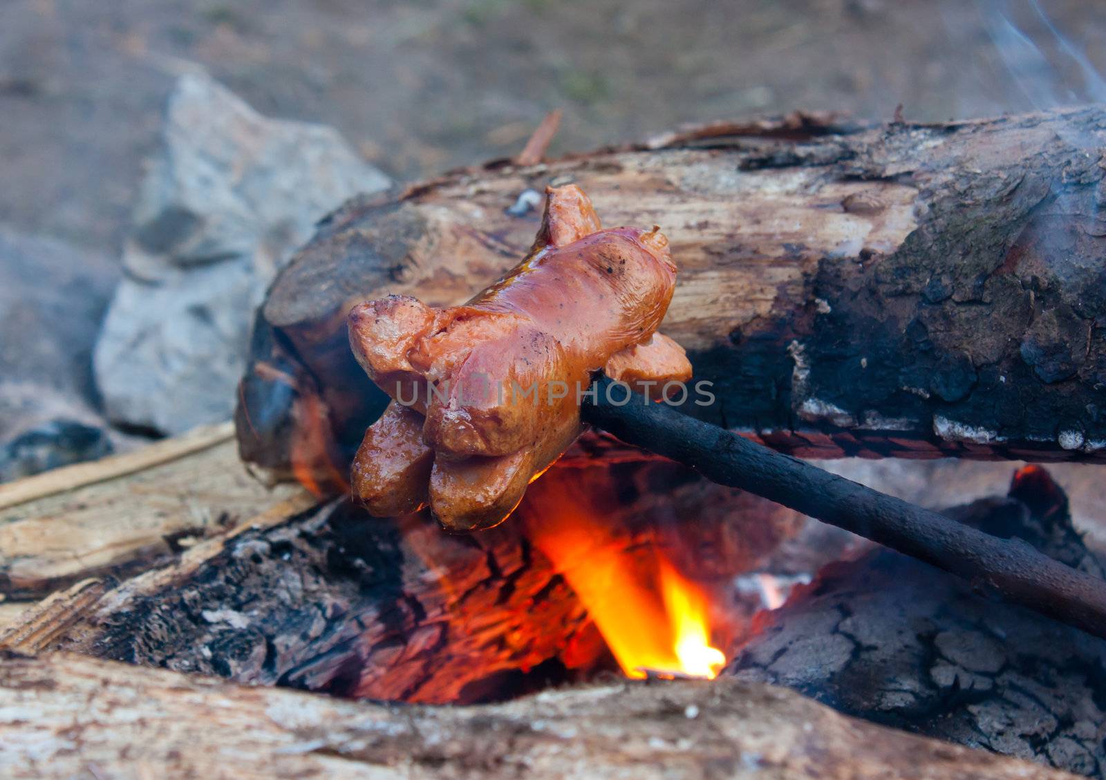 Cooking sausage on campfire