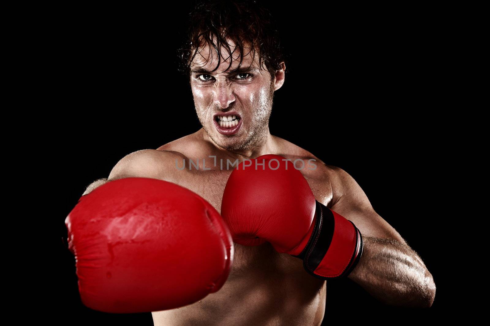 Boxing boxer. Man with boxing gloves hitting and punching looking angry. Strong muscular fit fitness model showing competition strength. Caucasian male model isolated on black background.