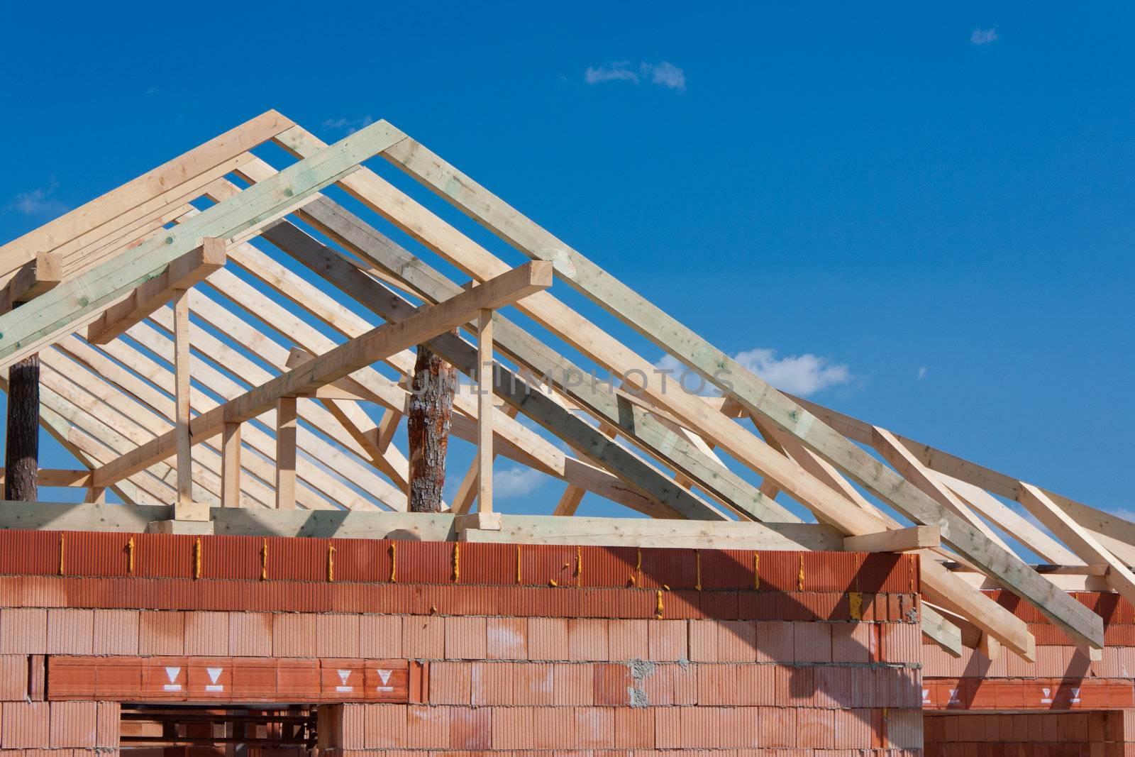 Structure of house, roof and facade