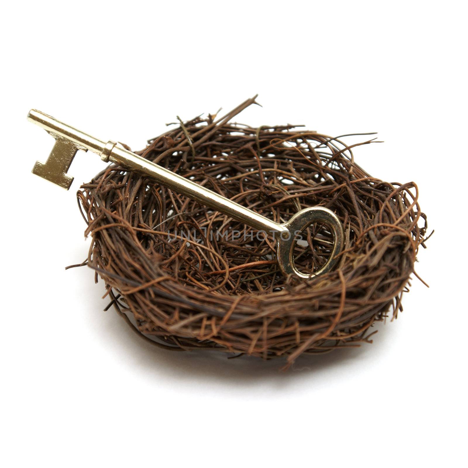 A brass skeleton key lays in a nest for several different concepts.