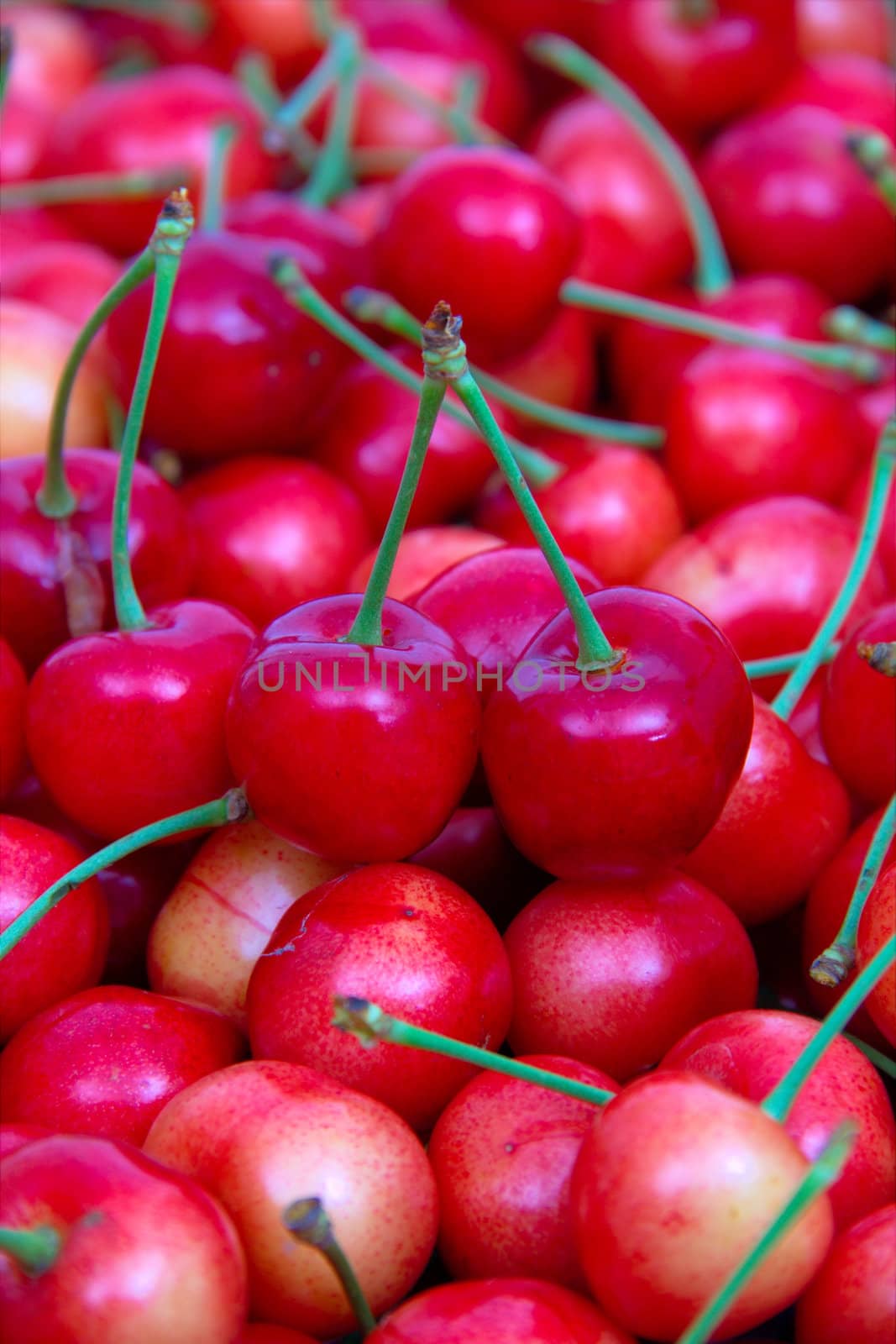 Sweet cherries