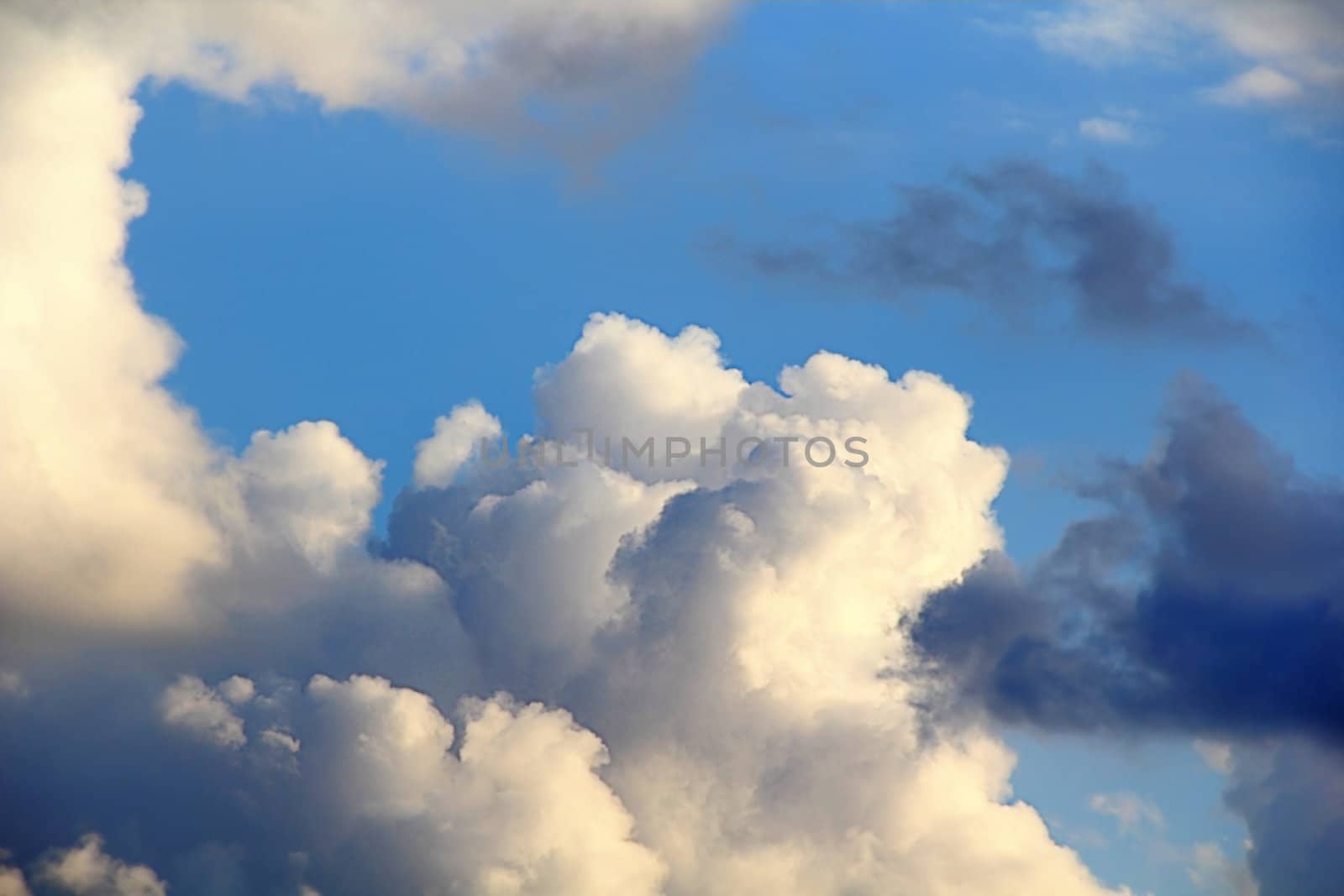 Beautiful picture with summer blue cloudiness sky