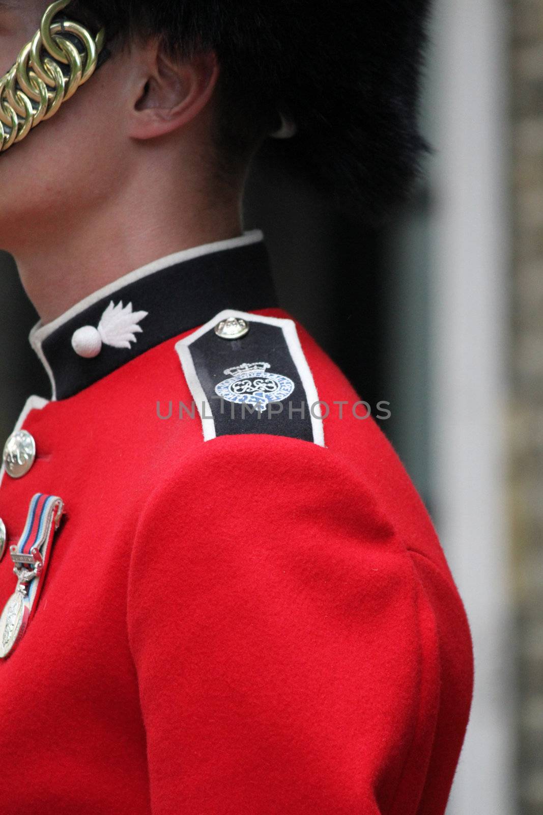 detail of a Grenadier Guard's uniform