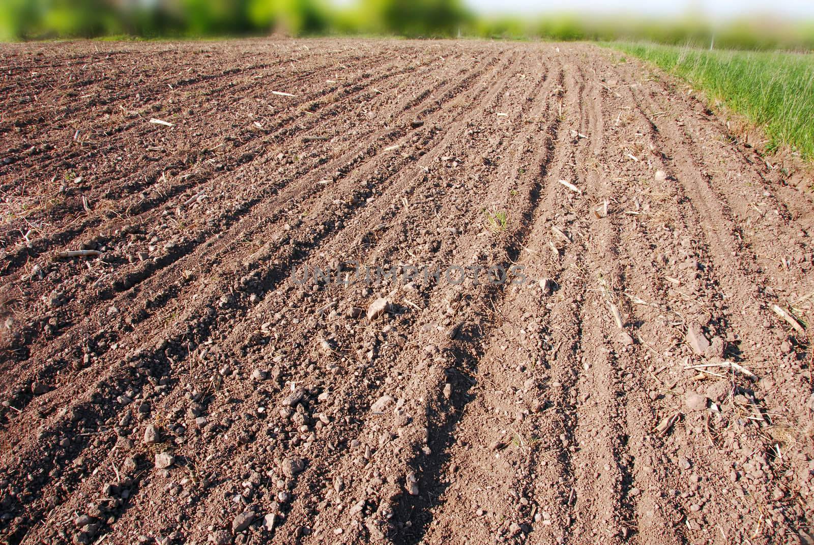 plowed field, ploughed brown earth rural landscape