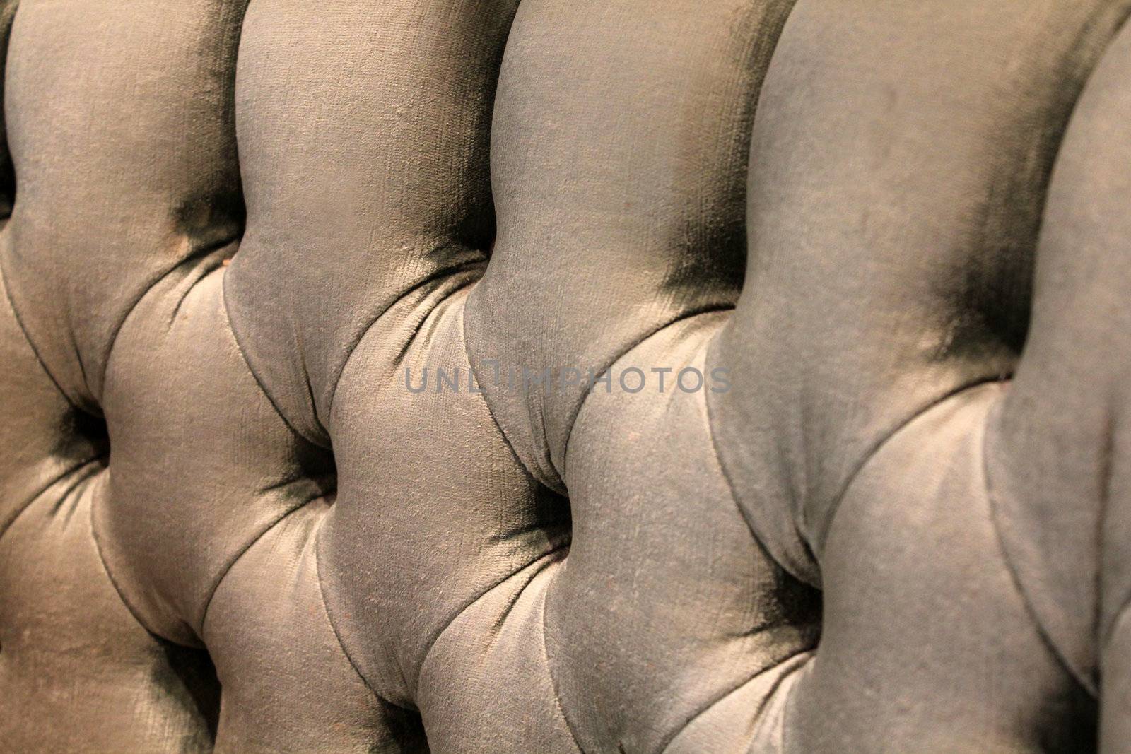 plush velvet sofa - full image back ground