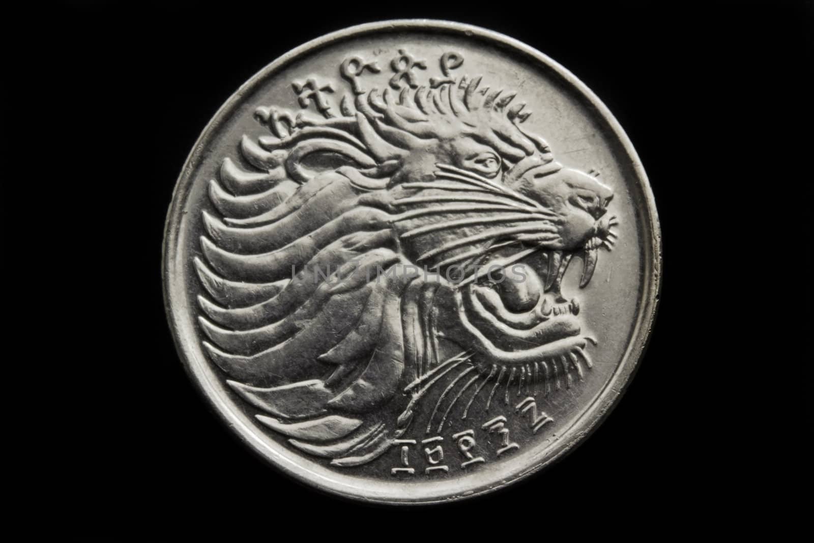 Lion on the face of the Ethiopian twenty five cent coin