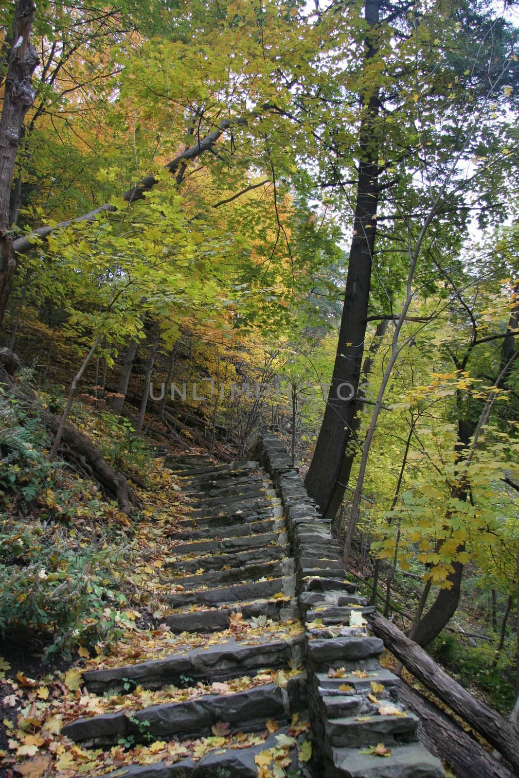 Old stone stairway by werewolf57