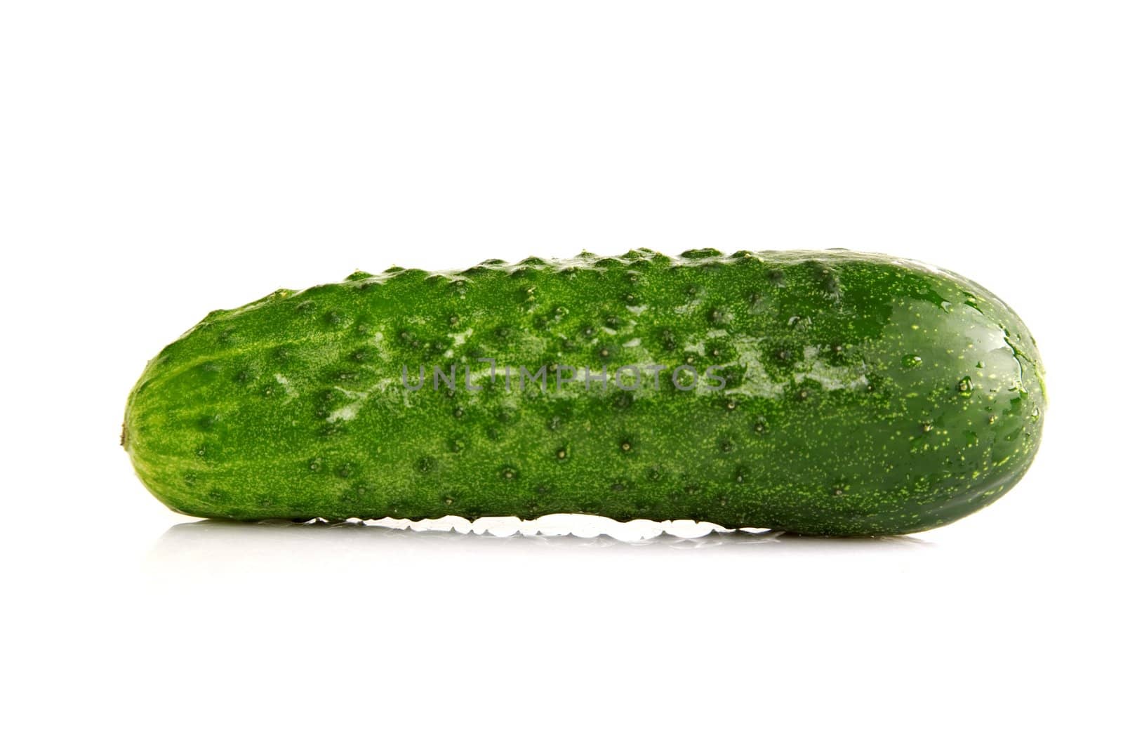 Fresh green Cucumber on a white background