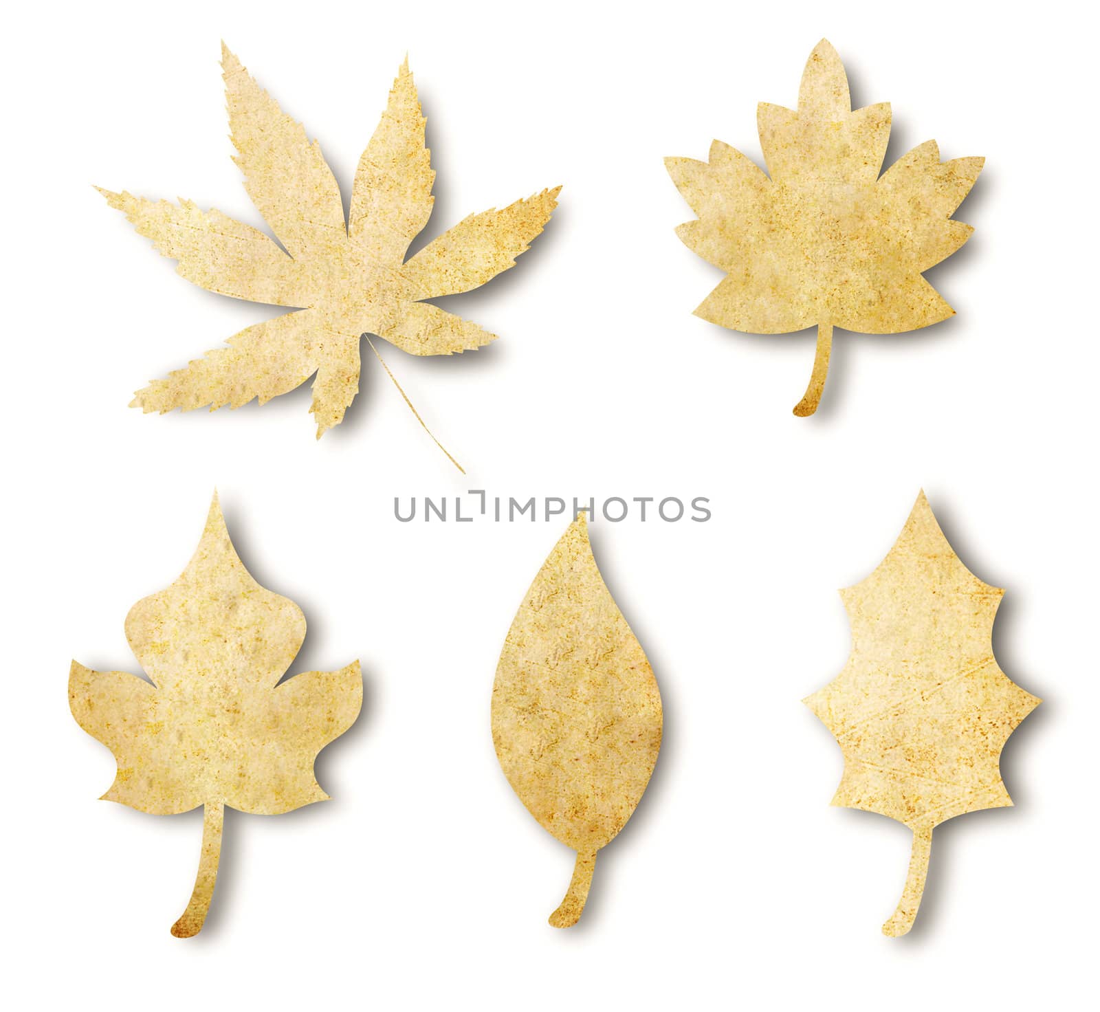 Various leaf shape from vintage paper