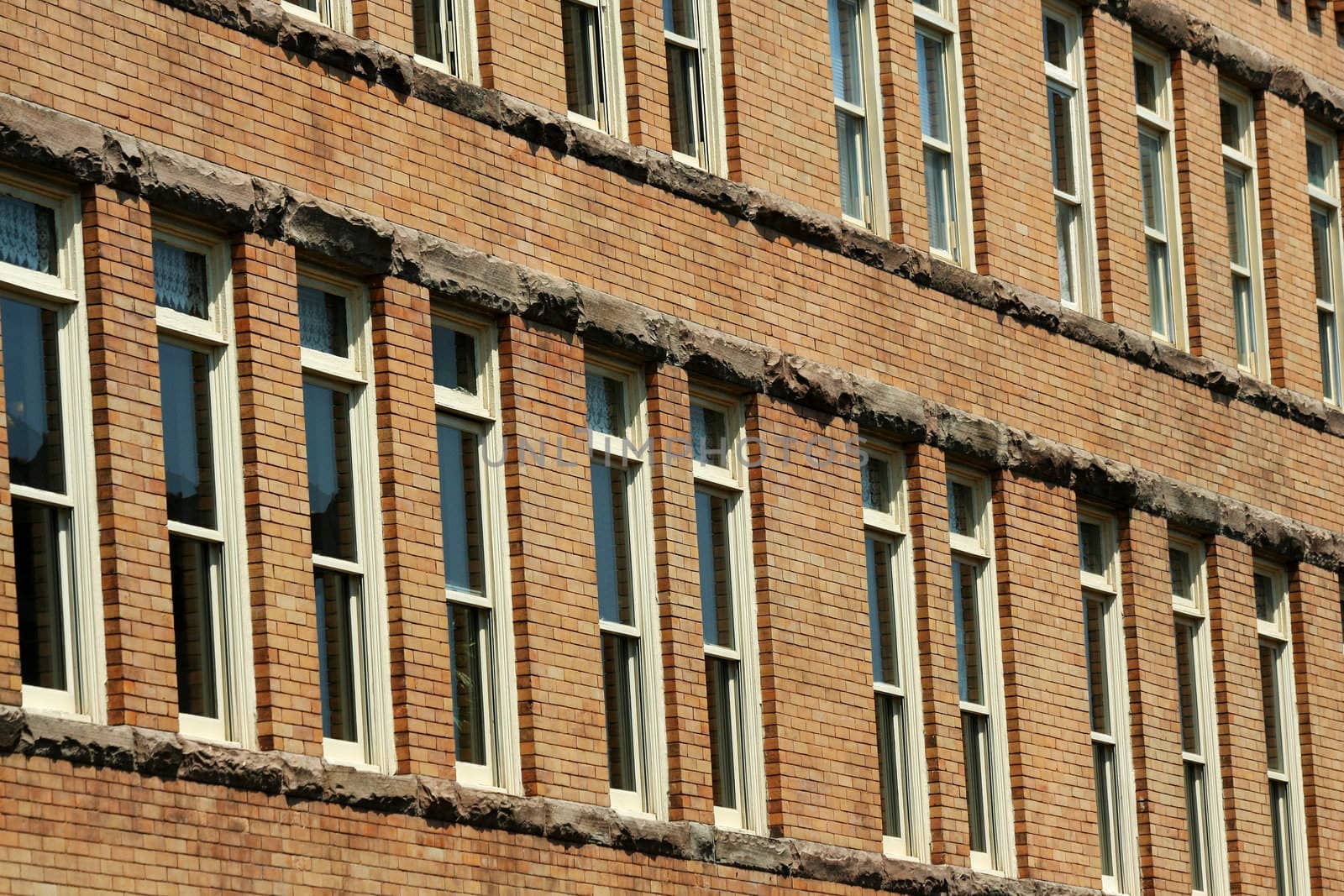 Some Rows of windows on a building