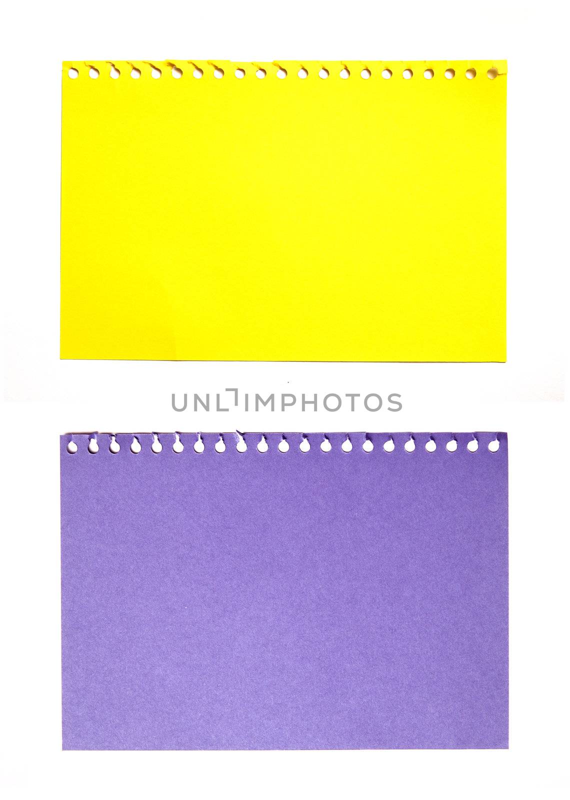 empty sheet of yellow and purple paper by nuchylee