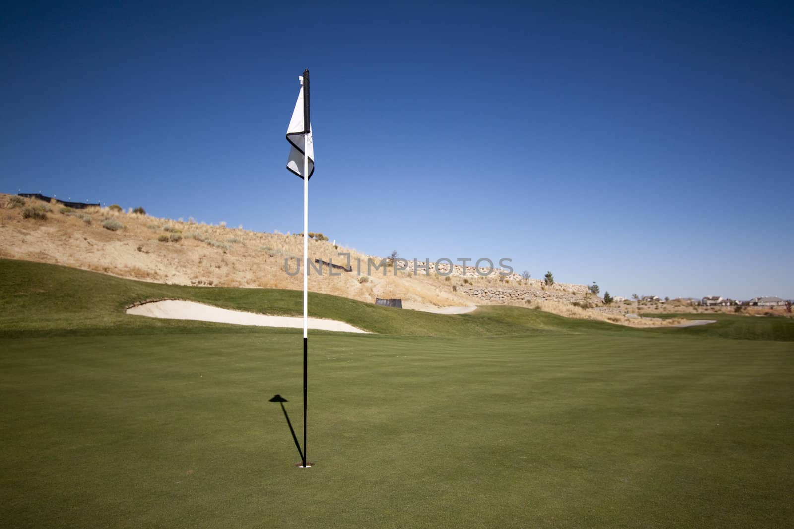 A green golf course with blue skies.