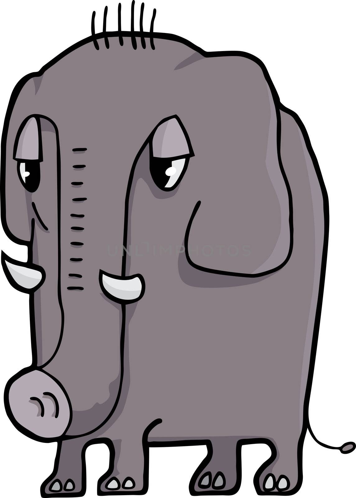 Relaxed cartoon baby elephant on a white background