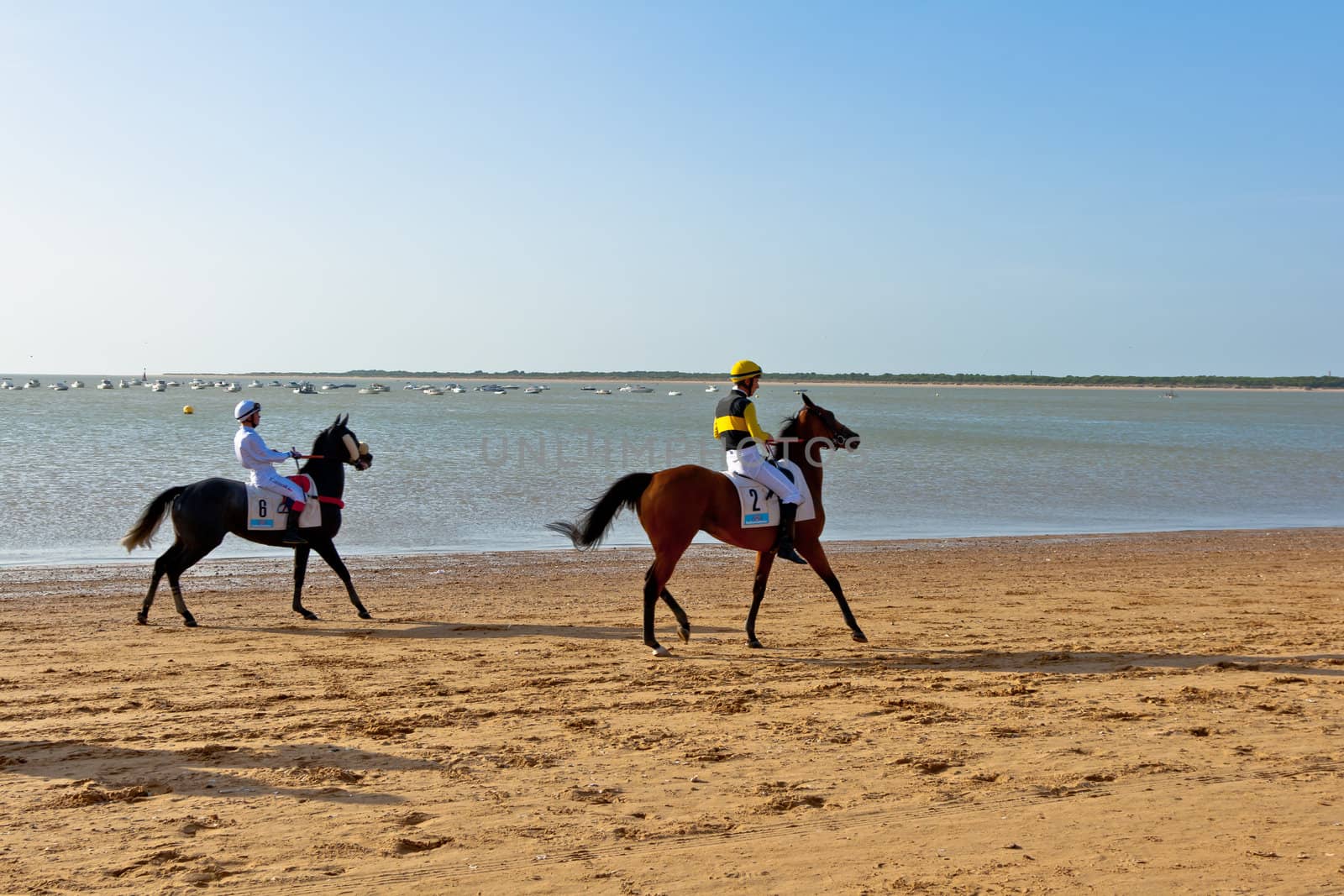 SANLUCAR DE BARRAMEDA, CADIZ, SPAIN - AUGUST 10: Unidentified rider at the start of race horses on Sanlucar de Barrameda beach on August 10, 2011 in Sanlucar de Barrameda, Cadiz, Spain.